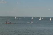 regata_17-1